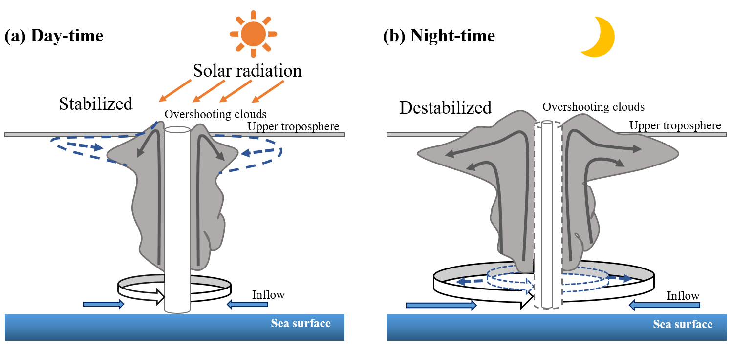 Diurnal Variations in Tropical Cyclones