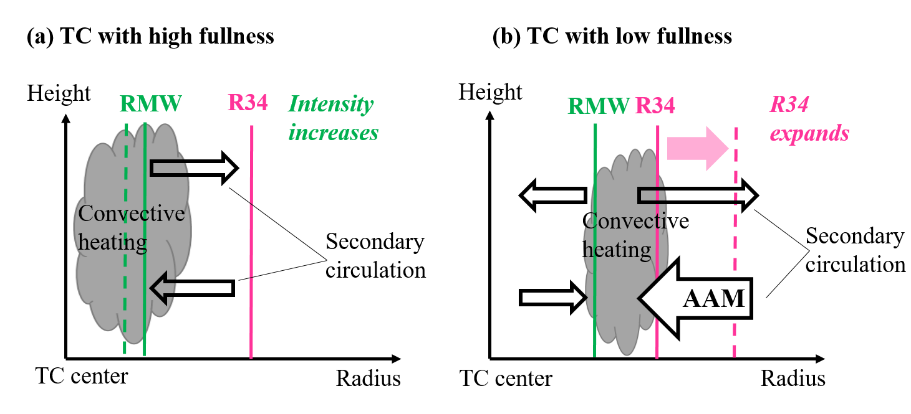 TC Outer Region Size Growth